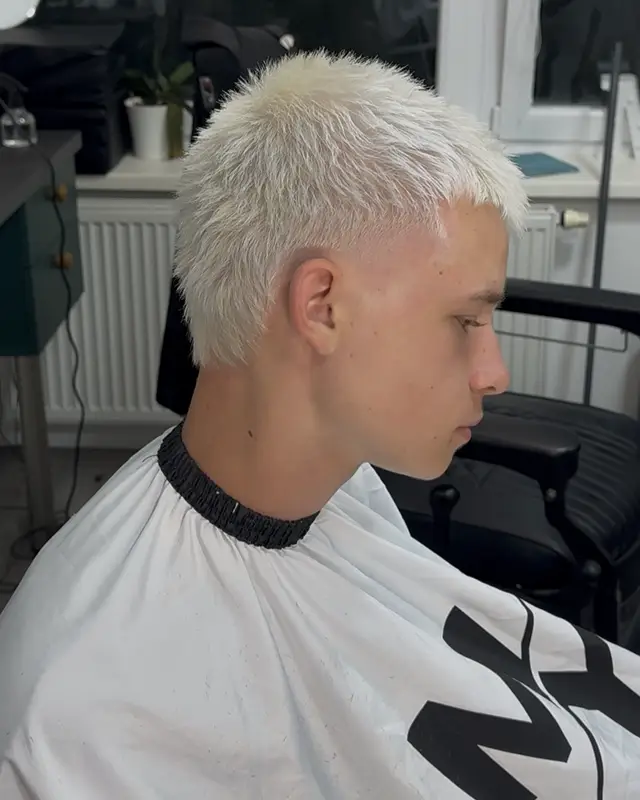 STRIH 1